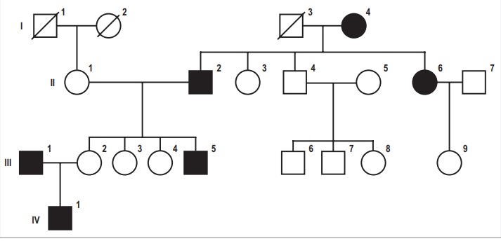 HEREDOGRAMAS FAMILIARES